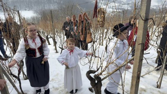 Vincekovo Beretinec 2 20260125.jpg