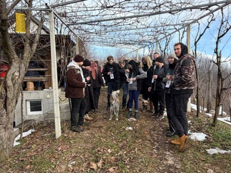 Vincekovo Donja Voca 1 6 20260125.jpg