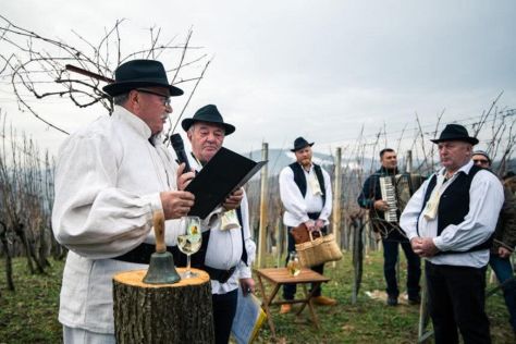 Vincekovo 11 20260126.jpeg