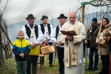 Vincekovo 12 20260126.jpeg