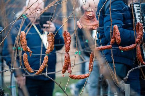 Vincekovo 3 20260126.jpeg