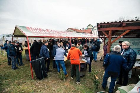 Vincekovo 4 20260126.jpeg