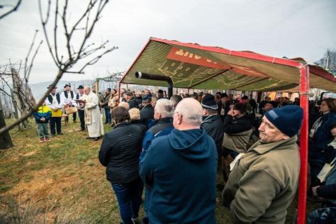 Vincekovo 8 20260126.jpeg