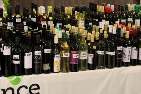 batch_izlozba_vina_vincekovo_ludbreg_2026   12.jpg