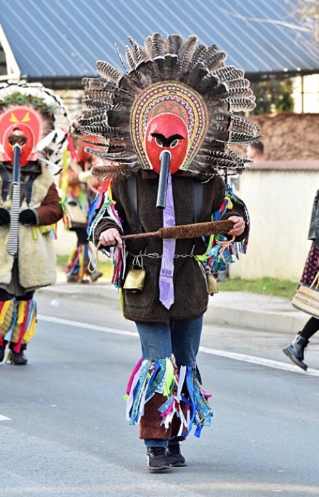 Petrijanec fasnik 22 20260208.jpg