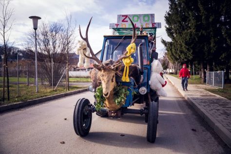 vz toplice-fasnik 17.jpg