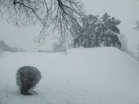 snijezna idila 12 20260220.jpg