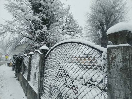 snijezna idila 19 20260220.jpg