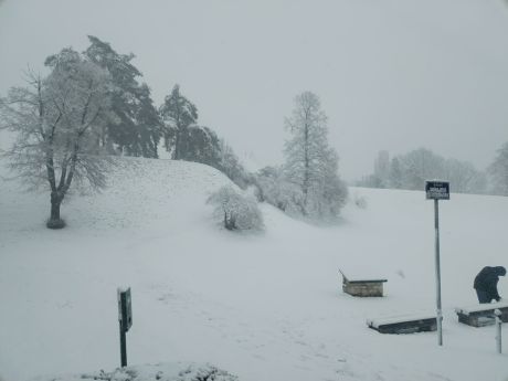 snijezna idila 3 20260220.jpg