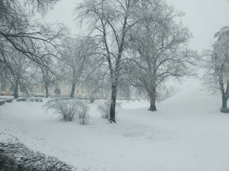 snijezna idila 4 20260220.jpg