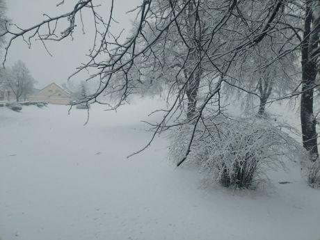 snijezna idila 7 20260220.jpg