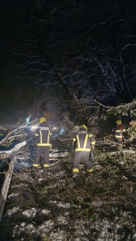 dvd novi marof 10.jpg