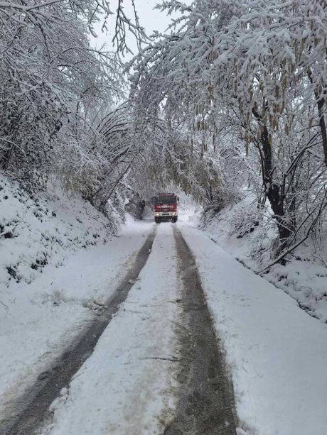 dvd novi marof 3.jpg