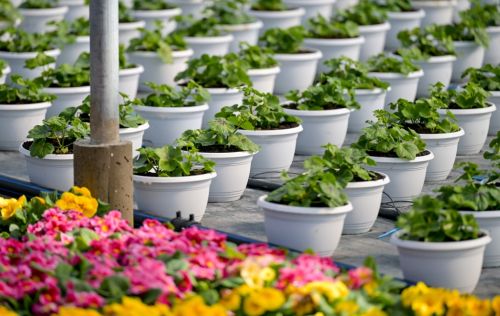 batch_Poticaji_poljoprivreda 6.jpg