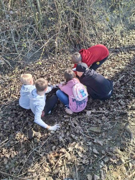 Zelena istka Martijanec 2026 1.jpg