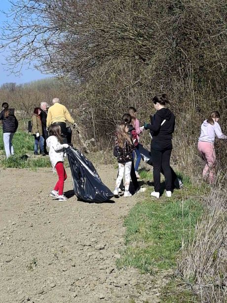 Zelena istka Martijanec 2026 2.jpg