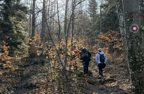 batch_Ivanscica dodatne 10.jpg