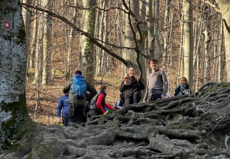 batch_Ivanscica dodatne 12.jpg