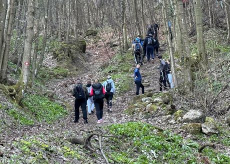 batch_Ivanscica dodatne 3.jpg