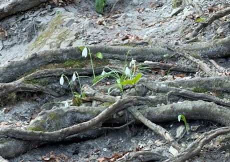 batch_Ivanscica dodatne 5.jpg