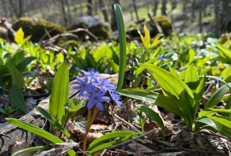 batch_Ivanscica dodatne 8.jpg