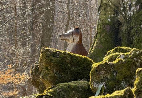 batch_Ivanscica dodatne 9.jpg