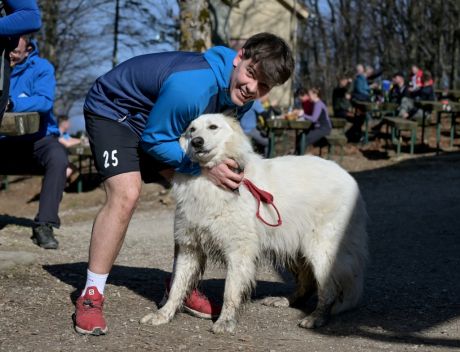 batch_Ivanscica_park_prirode 10.jpg