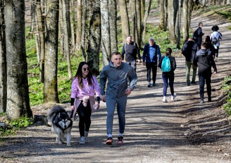 batch_Ivanscica_park_prirode 45.jpg