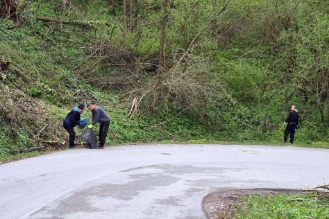 klenovnik-zelena cistka 5.jpeg