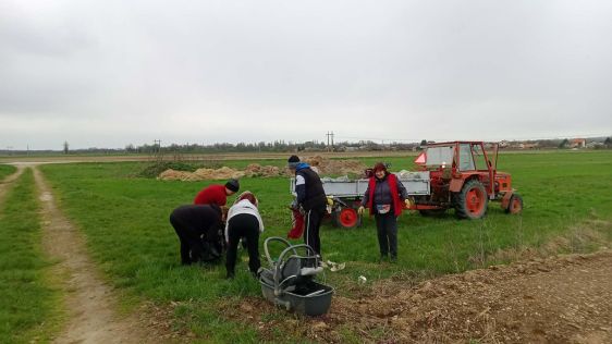 Petrijanec zelena cistka 20 20260331.jpg