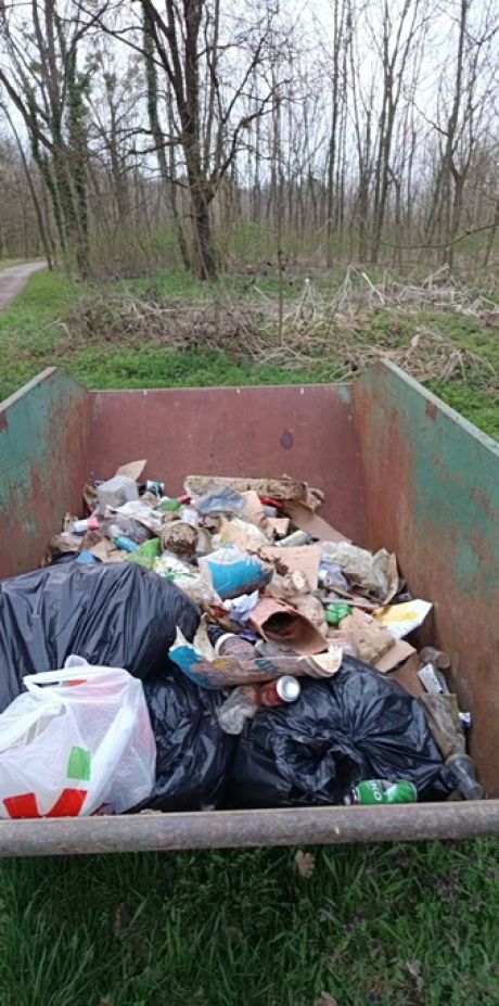 Petrijanec zelena cistka 23 20260331.jpg