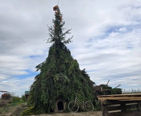 Vinica 02 20260405.jpg