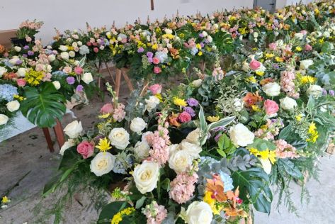 38a505cb-2c60-463a-8c8f-f64d81fe333a.jpeg
