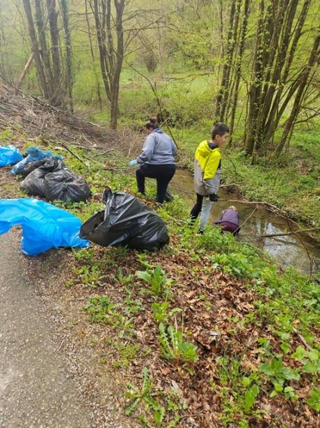 Donja Voca zelena cistka 02 20260417.jpg