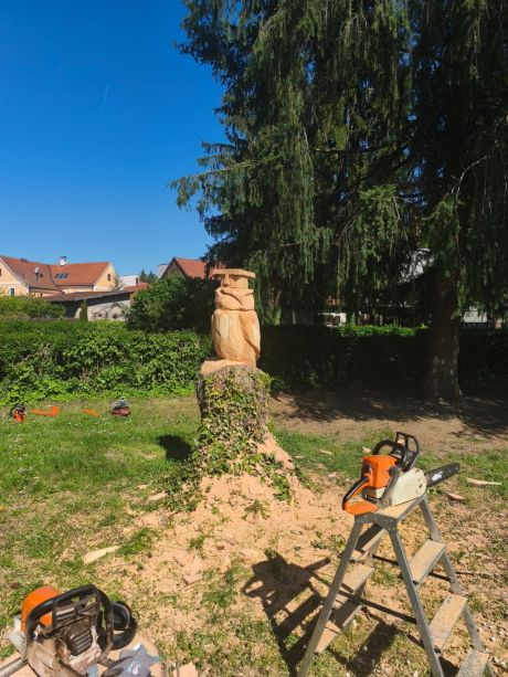 Pametna sova 14.jpeg