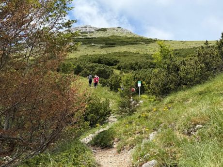 batch_060626_pohod Velebit_12.jpg