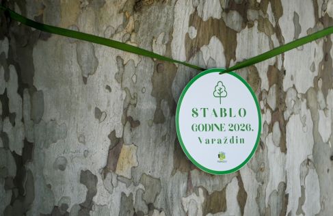 batch_naj-stablo-1-_6a269f58be867.jpg
