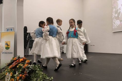 festival kina visoko 1.jpg