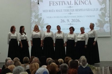 festival kina visoko 10.jpg