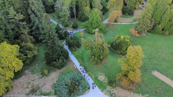 batch_Izlozba_arboretum 12.jpg