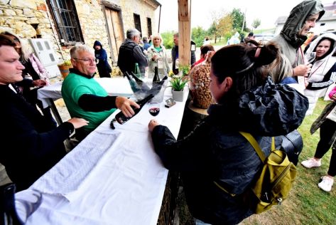 batch_Wine  Walk Cestica10 1.jpg